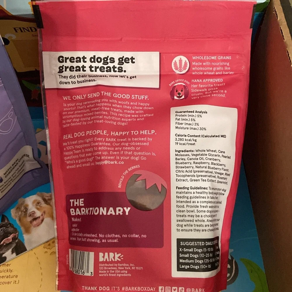 NWT BarkBox Sniffin Booty Pirate Themed Box